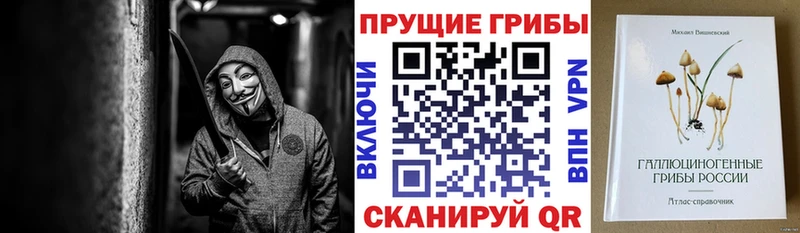 Псилоцибиновые грибы GOLDEN TEACHER  Камень-на-Оби 