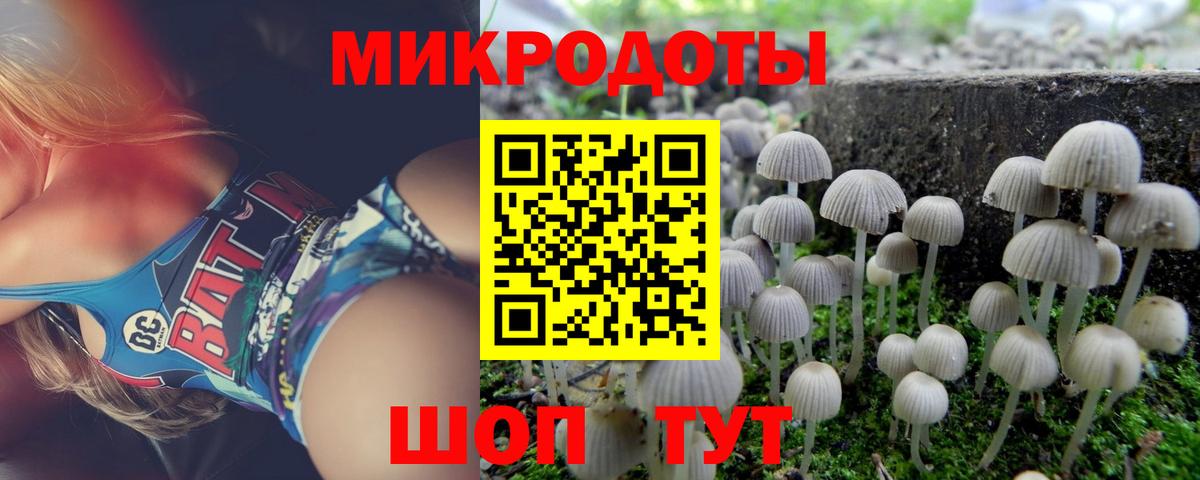 Камень-на-Оби  Псилоцибиновые грибы прущие грибы  Вход с VPN 